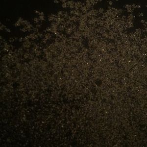 Meet your Posher, Shar